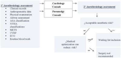 Systematic preoperative approach for bariatric surgery, perioperative results, and economic impact